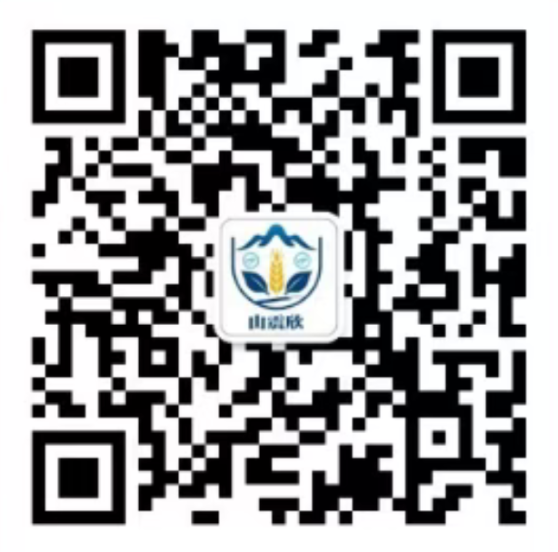 山震欣官方二维码